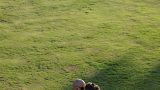 צילום חתן וכלה בגן הלאומי בקיסריה,עוד מעט מתחתנים...