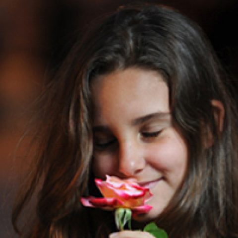 בוק בת מצווה